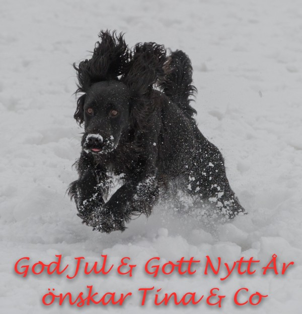 God Jul och Gott Nytt År!